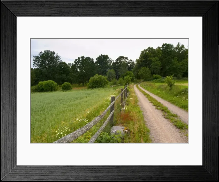 Framed Print : Country road, wooden fence and field. Through the forest. Smaland region. Sweden, Europe Framed Print : Country road, wooden fence and field. Through the forest. Smaland region. Sweden, Europe