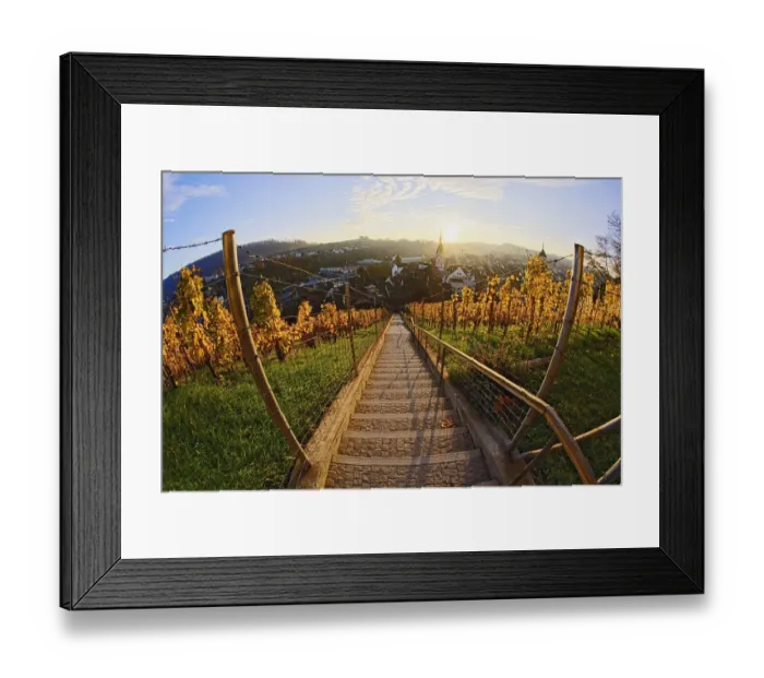 Framed Print : Sunset from stairs through vineyard, Munot Castle, Schaffhausen, Swizterland Framed Print : Sunset from stairs through vineyard, Munot Castle, Schaffhausen, Swizterland
