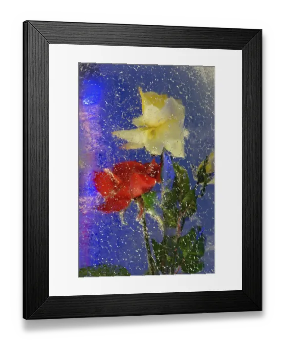 Framed Print : Yellow and red roses frozen in block of ice, Glacier Palace, Klein Matterhorn, near Zermatt Framed Print : Yellow and red roses frozen in block of ice, Glacier Palace, Klein Matterhorn, near Zermatt