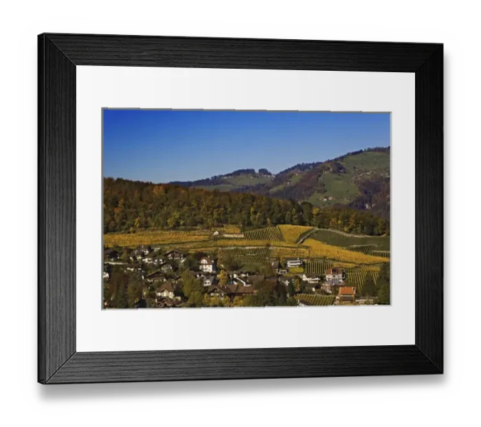 Framed Print : Swiss village and vineyards, Interlaken, Switzerland Framed Print : Swiss village and vineyards, Interlaken, Switzerland