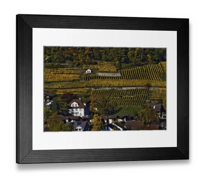 Framed Print : Swiss village and vineyards, Interlaken, Switzerland Framed Print : Swiss village and vineyards, Interlaken, Switzerland