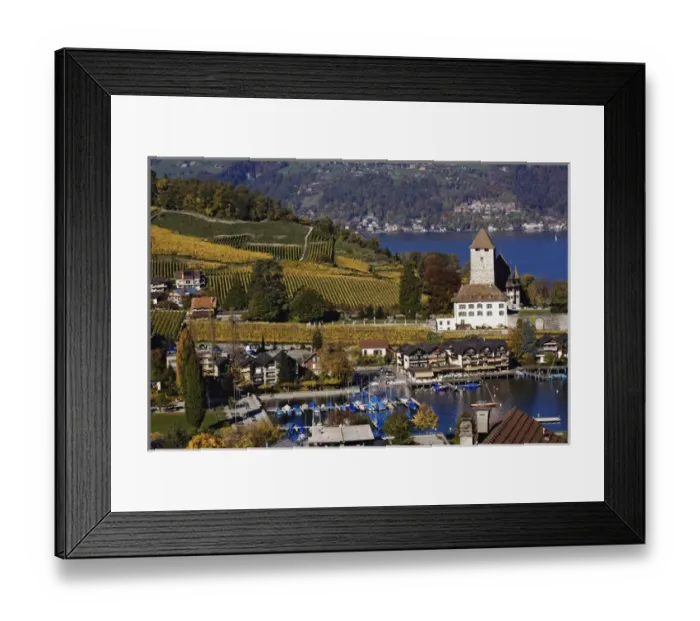 Framed Print : Swiss village and vineyard in autumn color, Interlaken, Switzerland along the Brienzwer Framed Print : Swiss village and vineyard in autumn color, Interlaken, Switzerland along the Brienzwer