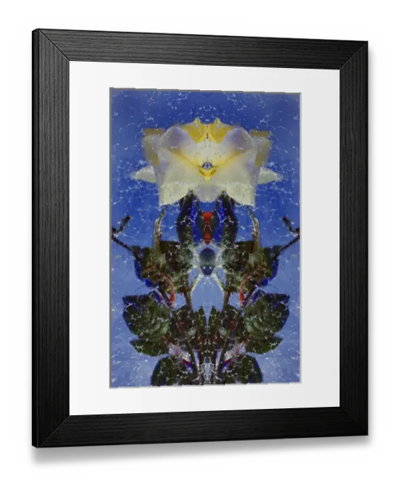 Framed Print : Flipped and mirroed version fo red and yellow roses frozen in block of ice, Glacier Palace Framed Print : Flipped and mirroed version fo red and yellow roses frozen in block of ice, Glacier Palace