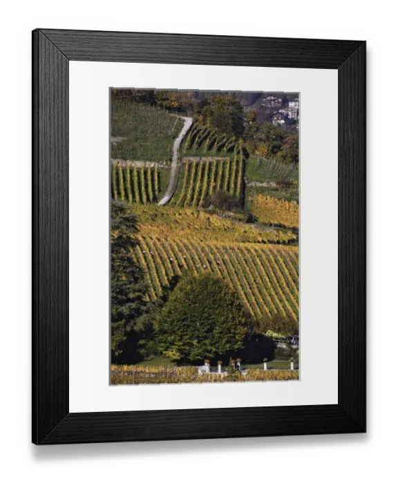 Framed Print : Swiss village and vineyard in autumn color, Interlaken, Switzerland along the Brienzwer Framed Print : Swiss village and vineyard in autumn color, Interlaken, Switzerland along the Brienzwer