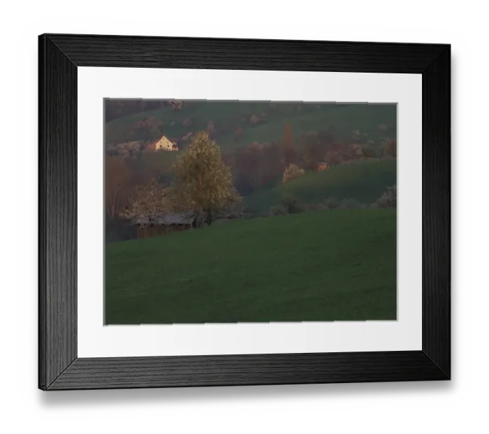 Framed Print : Europe, Switzerland, Basel-Land. Cherry blossoms (Medium Format) Framed Print : Europe, Switzerland, Basel-Land. Cherry blossoms (Medium Format)