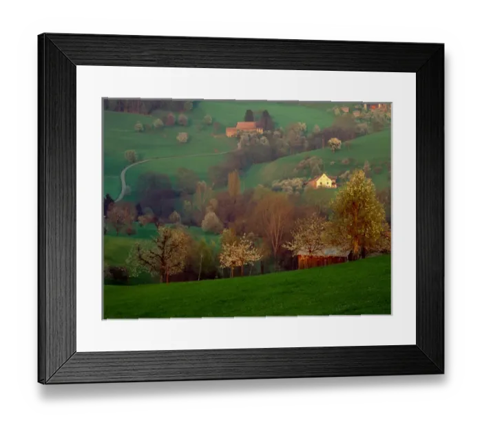 Framed Print : Cherry blossoms, Basel-Land, Switzerland Jure Mountains Framed Print : Cherry blossoms, Basel-Land, Switzerland Jure Mountains