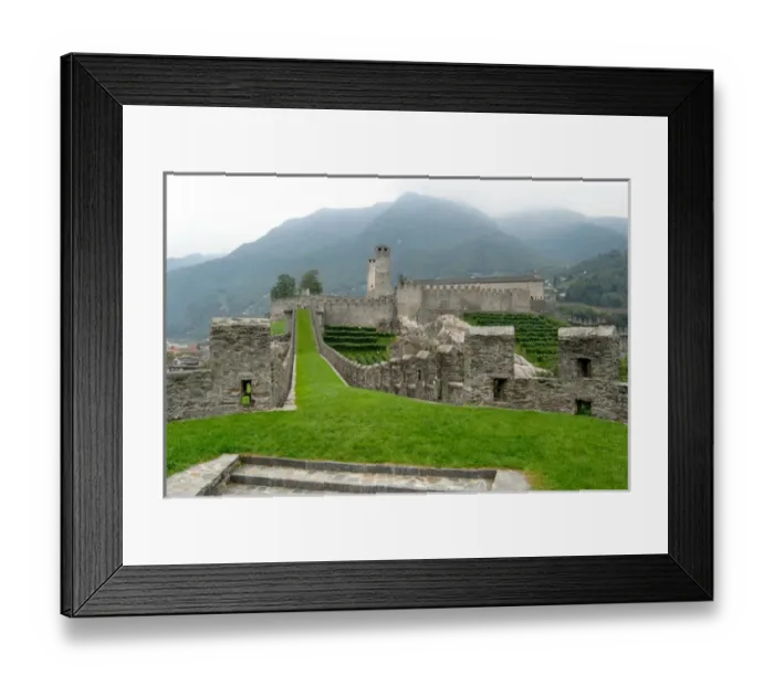 Framed Print : 05. Switzerland, Bellinzona, Castelgrande vineyards and fortified walls 