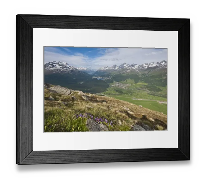 Framed Print : Muottas Muragl, Switzerland. Views of Celerina and St. Moritz from atop Muottas Muragl Framed Print : Muottas Muragl, Switzerland. Views of Celerina and St. Moritz from atop Muottas Muragl