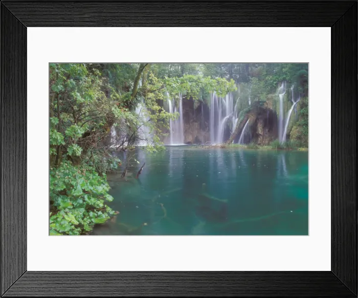 Framed Print : A string of falls surounds a smaller lake with submerged logs. Plitvice Lakes National Park Framed Print : A string of falls surounds a smaller lake with submerged logs. Plitvice Lakes National Park