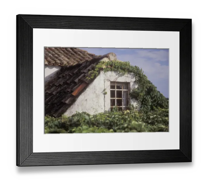 Framed Print : Upper portion of a house is getting progressively covered with crawling vines. Dubrovnik Framed Print : Upper portion of a house is getting progressively covered with crawling vines. Dubrovnik