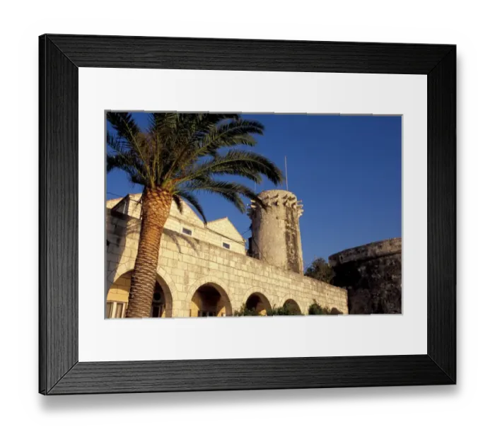Framed Print : Europe, Croatia, Dalmatia, Korcula. Palm trees and defensive tower Framed Print : Europe, Croatia, Dalmatia, Korcula. Palm trees and defensive tower
