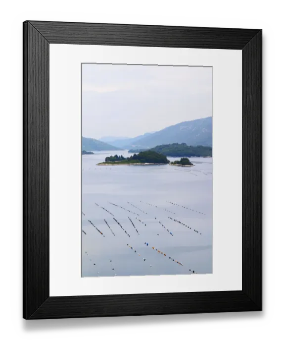 Framed Print : Oyster and shellfish shell fish farm beds in the Kanal Malog Stona straight by Framed Print : Oyster and shellfish shell fish farm beds in the Kanal Malog Stona straight by
