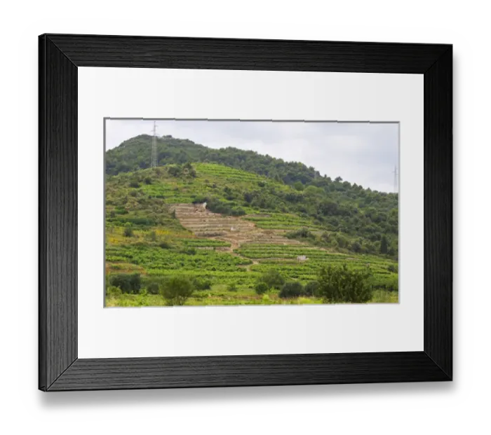Framed Print : Terraced vineyard. Potmje village, Dingac wine region, Peljesac peninsula. Dingac village