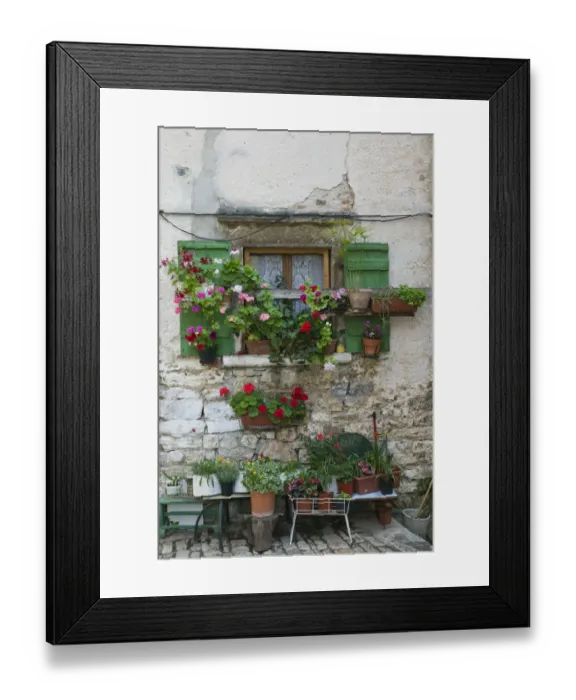 Framed Print : CROATIA, Istria, ROVINJ. Flowered window on Montalbano Street Framed Print : CROATIA, Istria, ROVINJ. Flowered window on Montalbano Street
