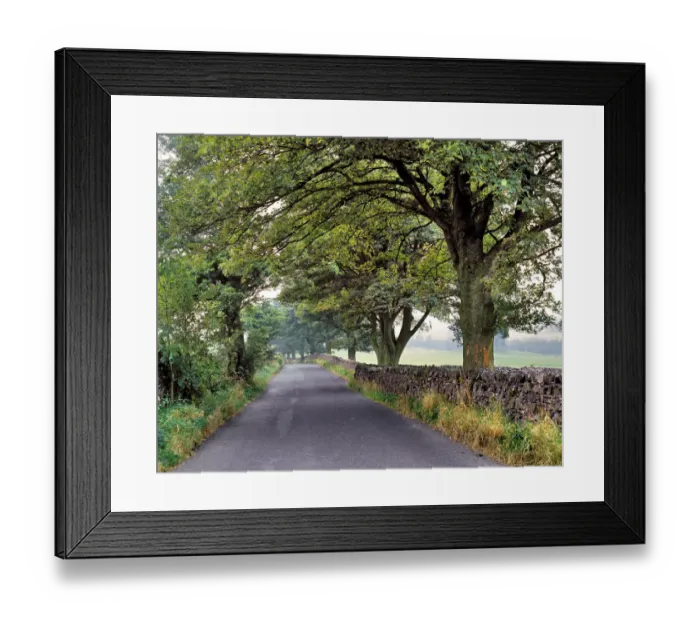 Framed Print : Europe, England, Yorkshire Dales NP. A quiet country road leads through Yorkshire Dales NP