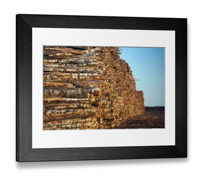 Framed Print : Estonia, Southwestern Estonia, Parnu, wood logs at commercial port