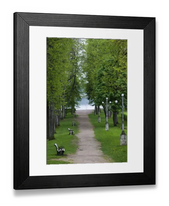 Framed Print : Estonia, Southeastern Estonia, Voru, Kateriina allee, tree-lined path