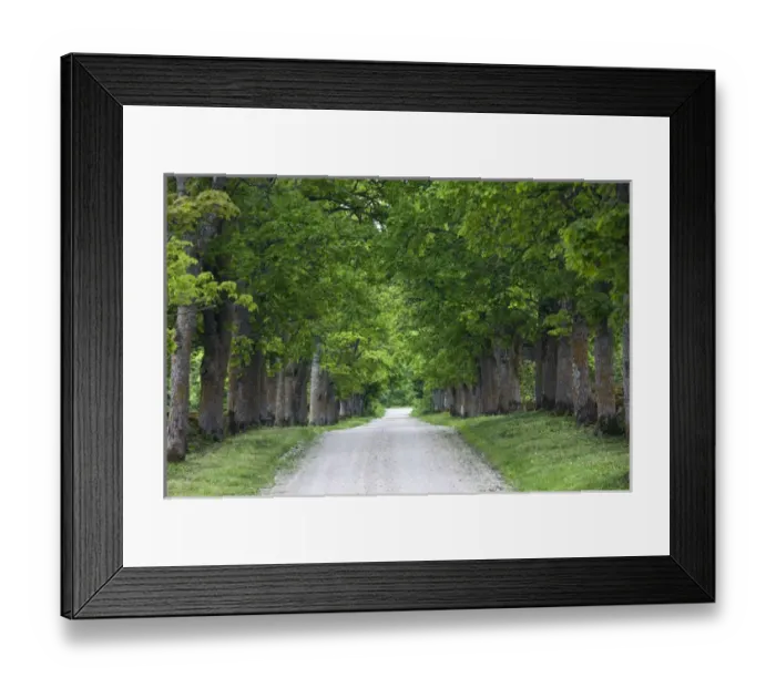 Framed Print : Estonia, Western Estonia Islands, Saaremaa Island, Kihelkona, country road Framed Print : Estonia, Western Estonia Islands, Saaremaa Island, Kihelkona, country road