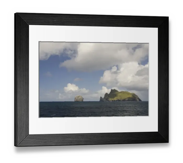 Framed Print : Scotland, St. Kilda Islands, Outer Hebrides. Island of Boreray, home to the largest Framed Print : Scotland, St. Kilda Islands, Outer Hebrides. Island of Boreray, home to the largest