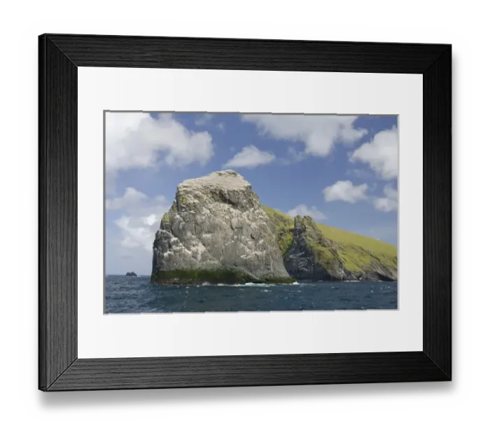 Framed Print : Scotland, St. Kilda Islands, Outer Hebrides. Island of Boreray, home to the largest Framed Print : Scotland, St. Kilda Islands, Outer Hebrides. Island of Boreray, home to the largest