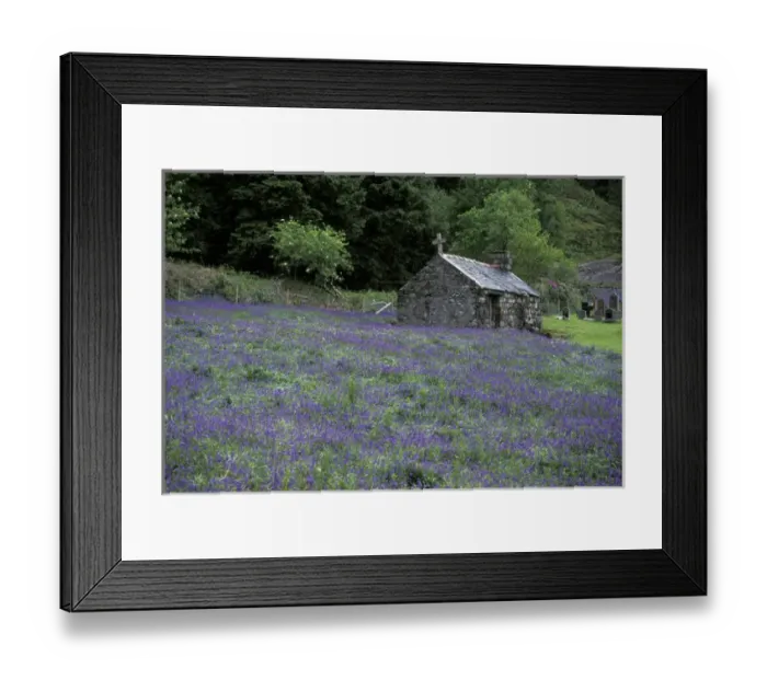 Framed Print : Europe, Scotland, Highlands, Oban Church and heather; weathered stone structures Framed Print : Europe, Scotland, Highlands, Oban Church and heather; weathered stone structures