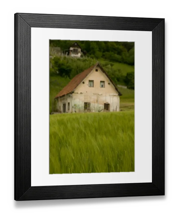 Framed Print : SLOVENIA-Dolenjska-Dolni Kot: Wheat Farm & Terraced Vineyards Framed Print : SLOVENIA-Dolenjska-Dolni Kot: Wheat Farm & Terraced Vineyards