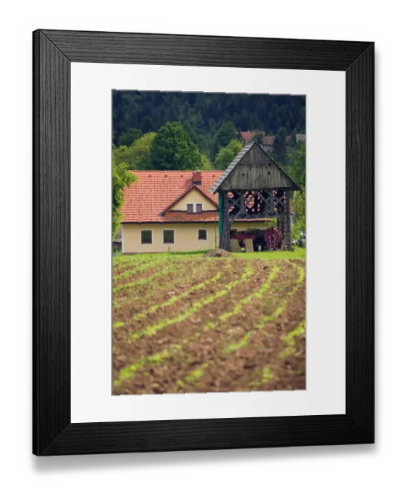 Framed Print : SLOVENIA-Dolenjska-Gabrovcec: Slovenian Hayloft