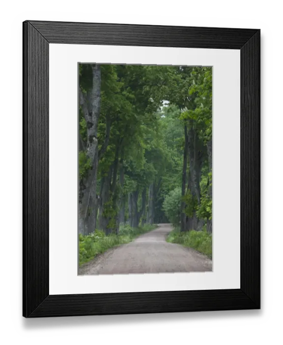 Framed Print : Latvia, Western Latvia, Kurzeme Region, Sabile, country road
