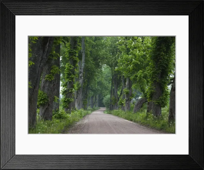Framed Print : Latvia, Western Latvia, Kurzeme Region, Sabile, country road
