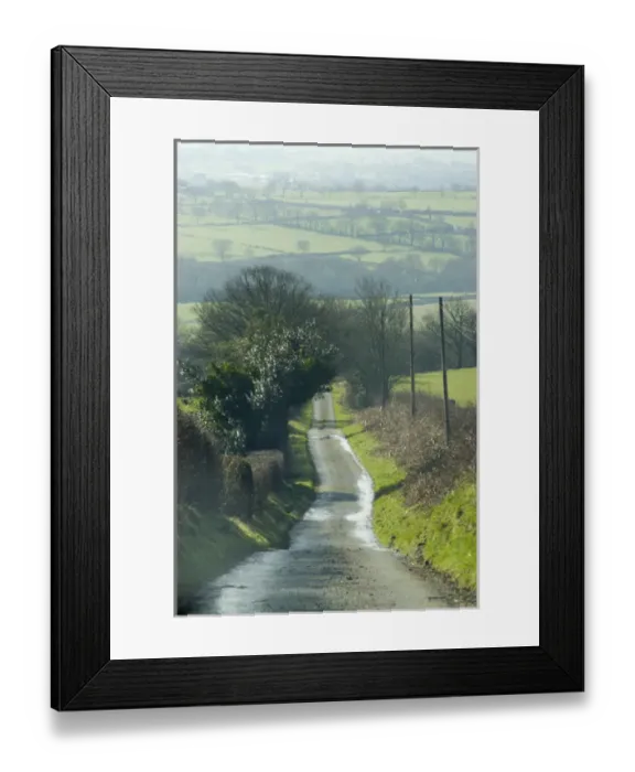 Framed Print : Wales, narrow road leading down hillside in spring Framed Print : Wales, narrow road leading down hillside in spring