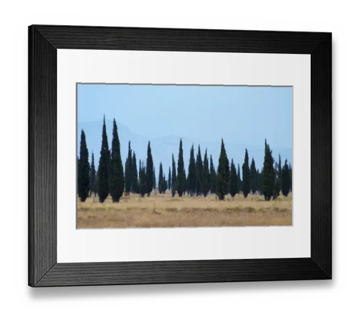 Framed Print : Cypress trees on a dry plain forming a strange pattern, high mountains in the background Framed Print : Cypress trees on a dry plain forming a strange pattern, high mountains in the background