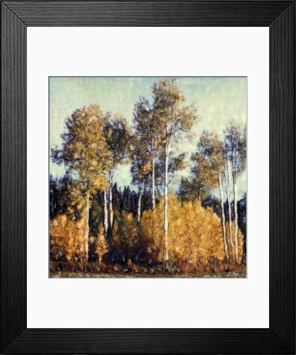 Framed Print : Aspen trees in the fall. Polaroid SX70 Manipulation Framed Print : Aspen trees in the fall. Polaroid SX70 Manipulation