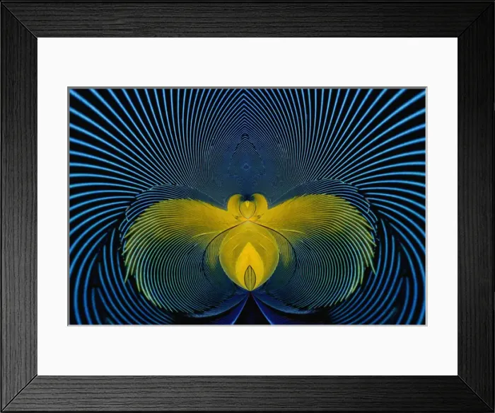 Framed Print : Scarlet Macaw feather pattern, Ara macao Framed Print : Scarlet Macaw feather pattern, Ara macao