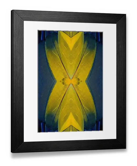 Framed Print : Scarlet Macaw feather pattern, Ara macao Framed Print : Scarlet Macaw feather pattern, Ara macao
