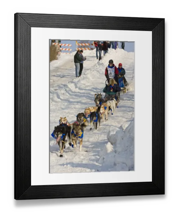 Framed Print : Ididarod Start 2006 Alaska Framed Print : Ididarod Start 2006 Alaska