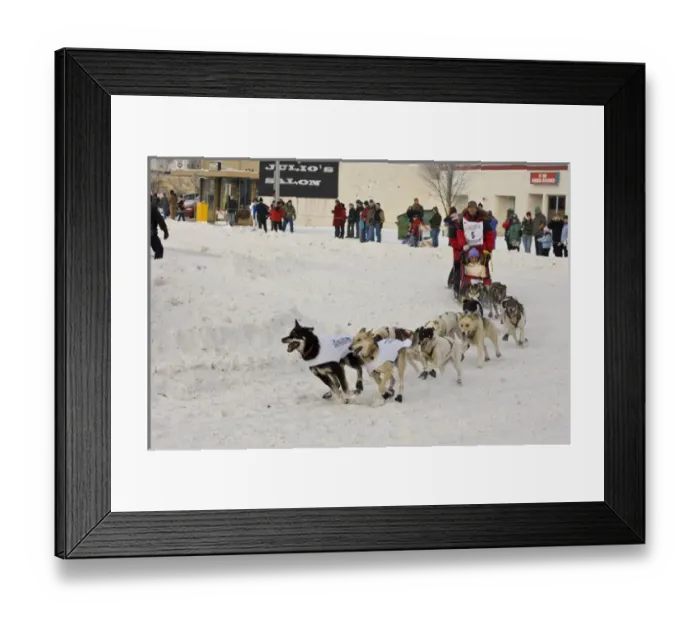 Framed Print : Ididarod Start 2006 Alaska Framed Print : Ididarod Start 2006 Alaska