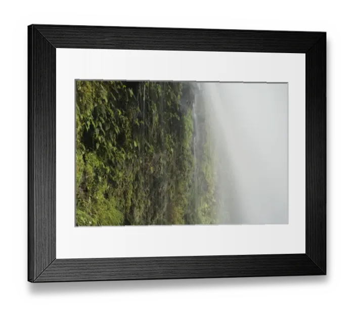 Framed Print : CRWG, 021, Rolf N, Costa Rica, La Paz Waterfall Garden Framed Print : CRWG, 021, Rolf N, Costa Rica, La Paz Waterfall Garden