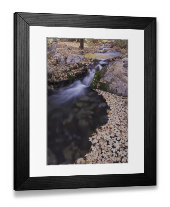 Framed Print : Stream with fallen leaves of Bigtooth Maples (Acer grandidentatum) fallcolors, McKittrick Canyon