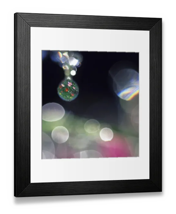 Framed Print : Digital composite abstract of dew drops on flowers with flower field in one drop