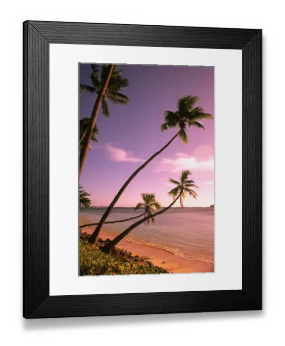 Framed Print : Beautiful Beach and Palms Nadi Bay Area in the Fiji Islands Framed Print : Beautiful Beach and Palms Nadi Bay Area in the Fiji Islands