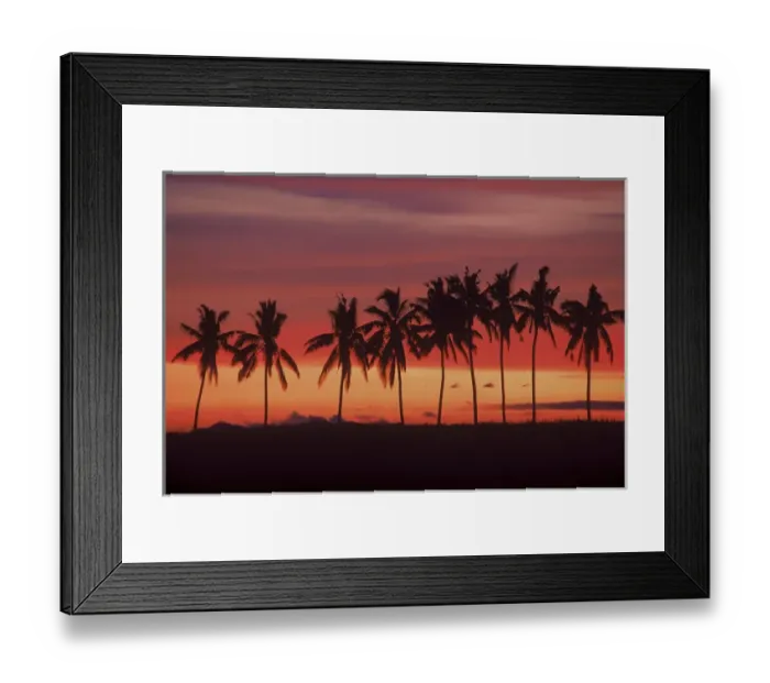 Framed Print : Palm Trees & Sunset, Queens Road, Fiji