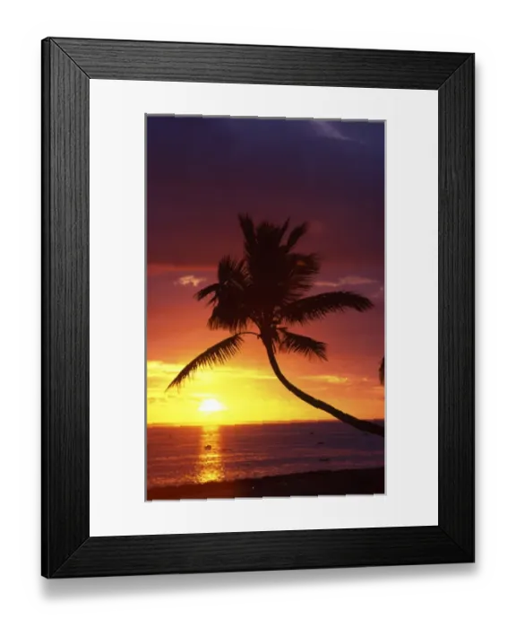 Framed Print : Sunset and Palm Trees, Coral Coast, Viti Levu, Fiji