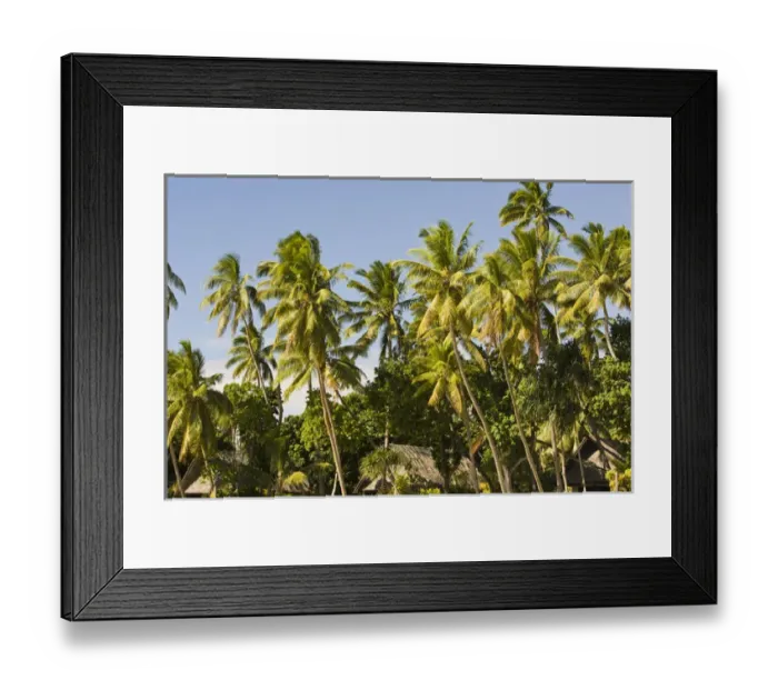 Framed Print : Fiji, Beqa Island. (PR) Framed Print : Fiji, Beqa Island. (PR)
