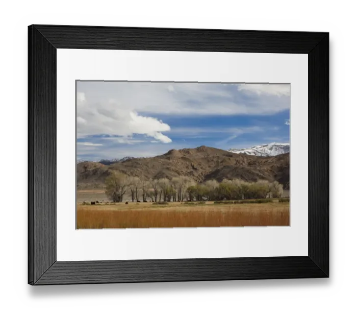 Framed Print : USA, California, Eastern Sierra Nevada Area, Bishop, landscape of the Pleasant Valey Framed Print : USA, California, Eastern Sierra Nevada Area, Bishop, landscape of the Pleasant Valey