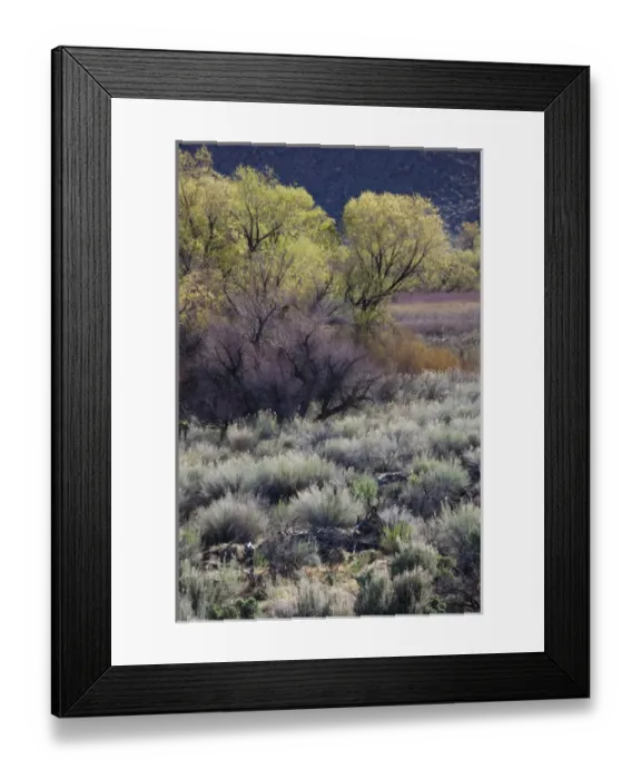 Framed Print : USA, California, Eastern Sierra Nevada Area, Bishop, landscape of the Pleasant Valey Framed Print : USA, California, Eastern Sierra Nevada Area, Bishop, landscape of the Pleasant Valey