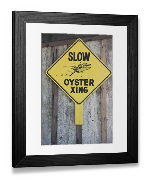 Framed Print : USA, California, Northern California, North Coast, Tomales Bay, Nicks Cove, oyster Framed Print : USA, California, Northern California, North Coast, Tomales Bay, Nicks Cove, oyster
