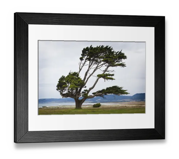 Framed Print : USA, California, Northern California, North Coast, Point Arena, coastal landscape
