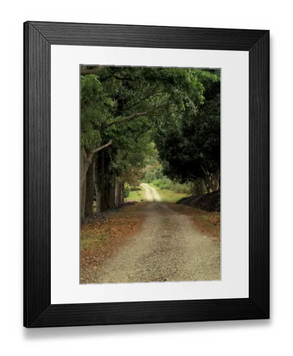 Framed Print : SOUTH PACIFIC, Fiji Road through the forest