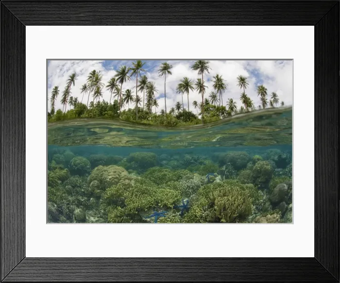 Framed Print : South Pacific, Solomon Islands. Camera held partially underwater showing reef and island palm trees Framed Print : South Pacific, Solomon Islands. Camera held partially underwater showing reef and island palm trees