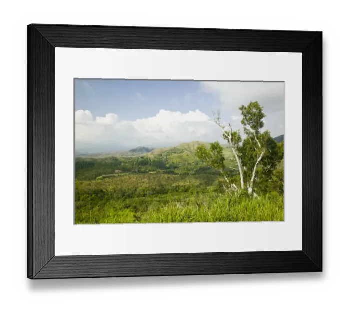 Framed Print : NEW CALEDONIA, Central Grande Terre Island, Col Des Rousetts. (el. 381 meters) Framed Print : NEW CALEDONIA, Central Grande Terre Island, Col Des Rousetts. (el. 381 meters)